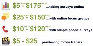 SurveyDen income examples