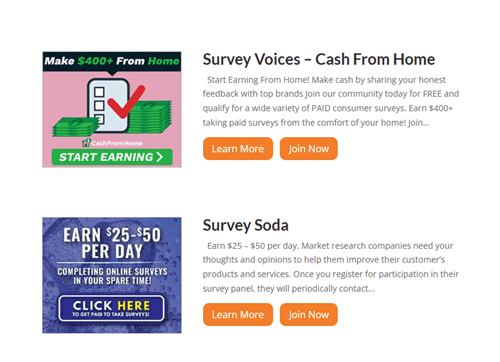 What Surveys4Bucks says it offers