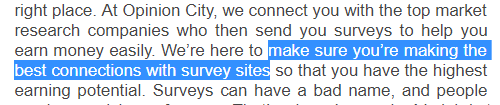 What Opinion City said it was about