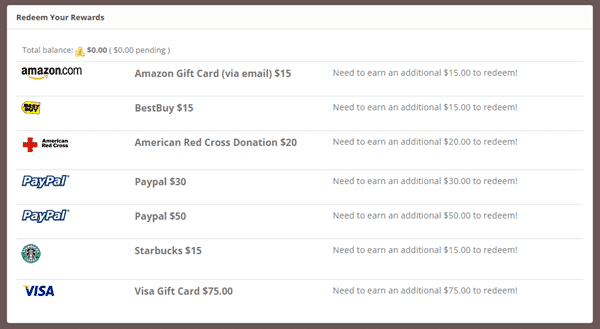 Honest Insite payment options