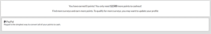 Opinion Champ payment options