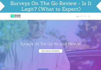 header for surveys on the go review