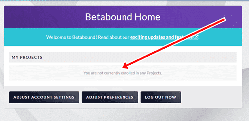 Betabound dashboard with available opportunities