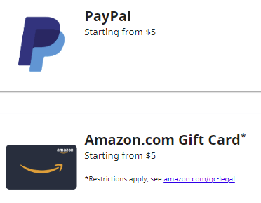 Rakuten Insight payment methods in the US