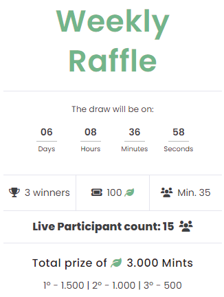 Mintalise raffle example