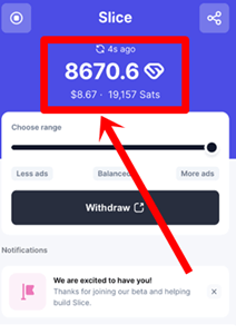 Slice earnings and payout options