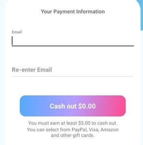 SurveyParty payment methods