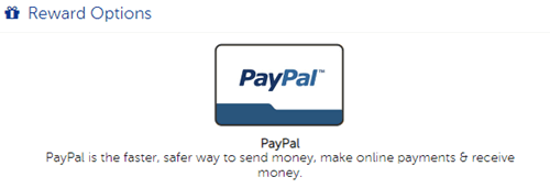 SayMore payment methods
