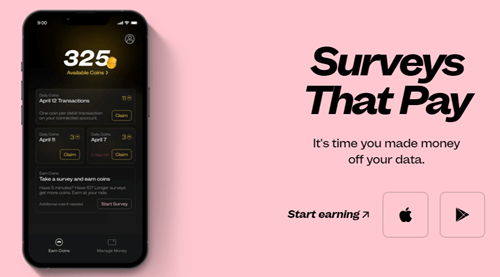 Paid surveys in the Bridge app