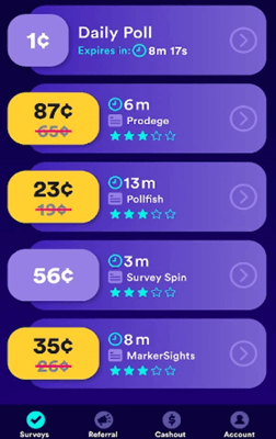 Surveys on Survey Spin