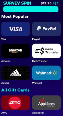 Survey Spin payout methods: PayPal and direct bank transfer
