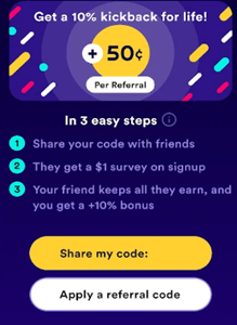 Survey Spin referral program