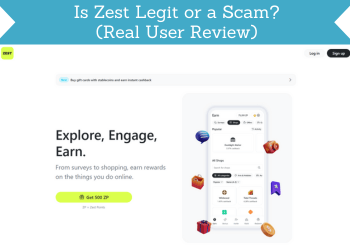 zest review header