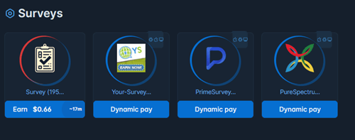 CashInStyle survey providers
