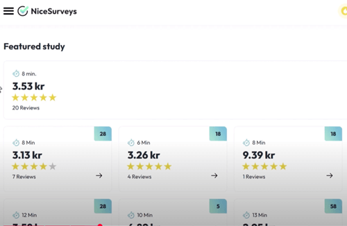 NiceSurveys paid surveys