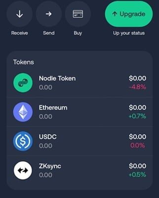The built-in Nodle Cash wallet