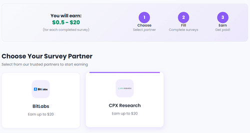Survey providers on Earnne
